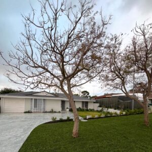 concrete driveway